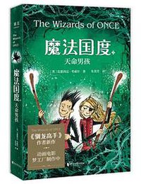 魔法国度：天命男孩 
