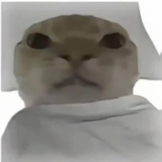 Wake Up Hajimi - 哈基米起床 - Single