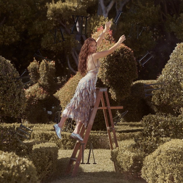 A Matter of Time: The Final Hour