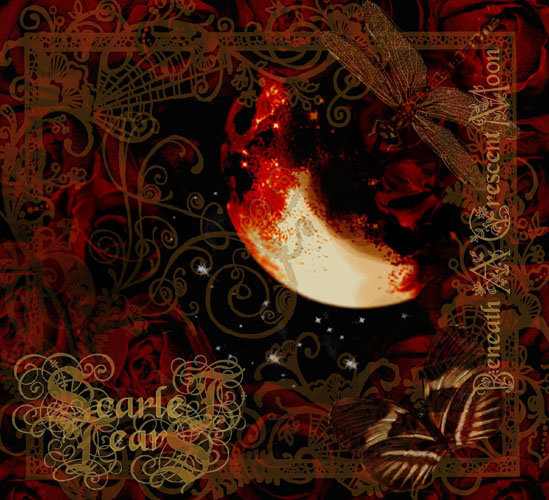 Beneath a Crescent Moon