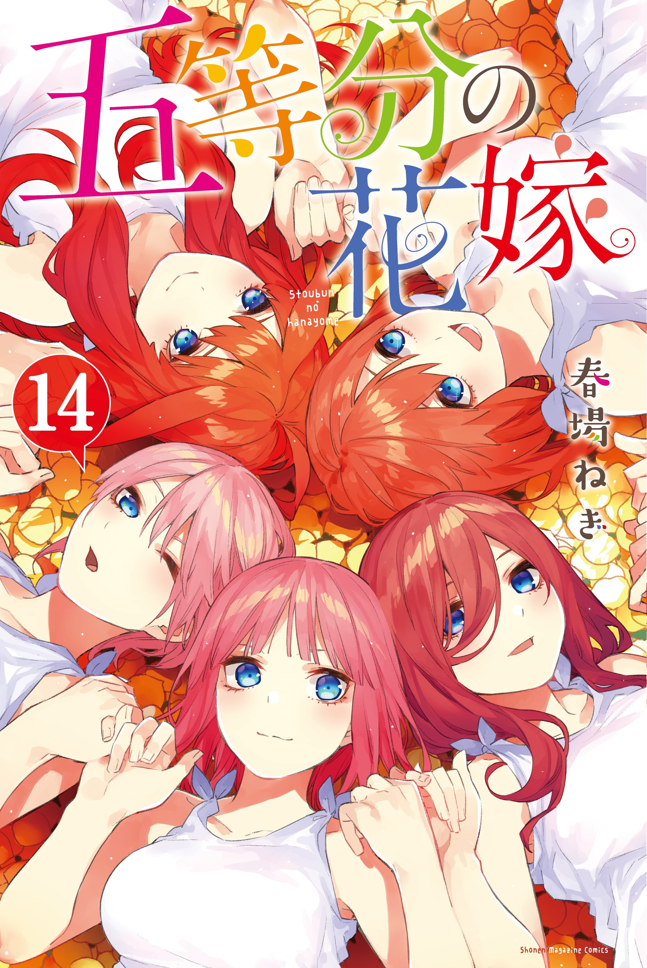 五等分の花嫁 (14)