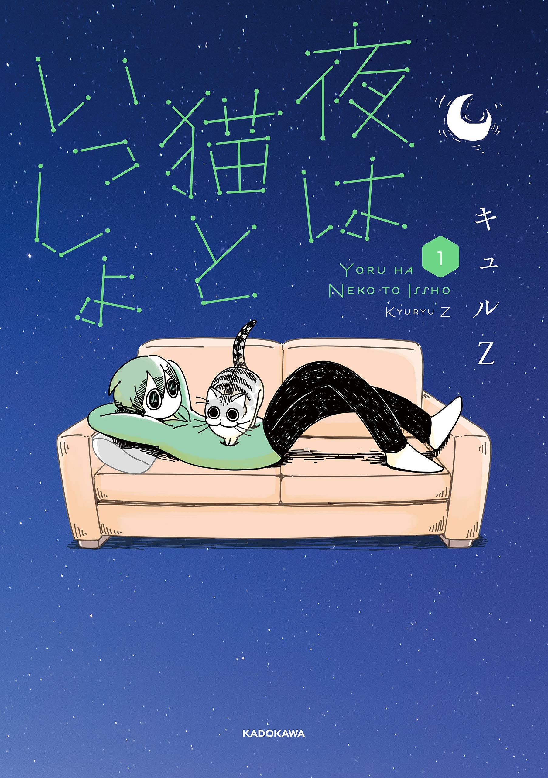 关于养猫我一直是新手