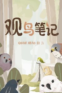 观鸟笔记