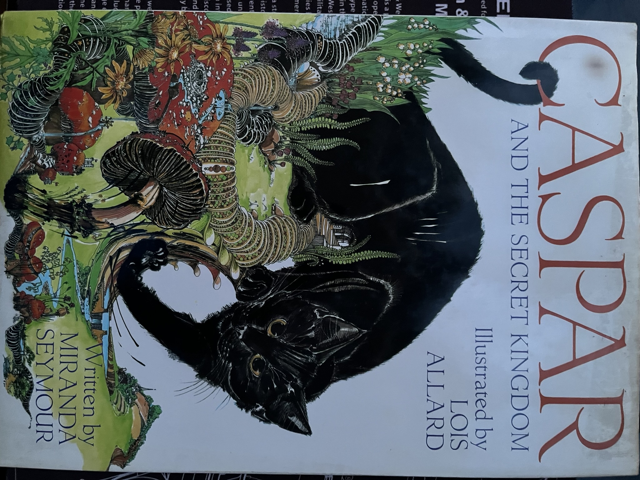 cover
