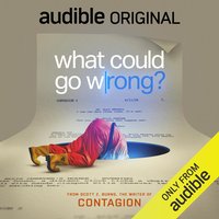 What Could Go Wrong?