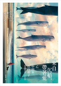 來自沉船，帶著愛 (皇冠 2023)