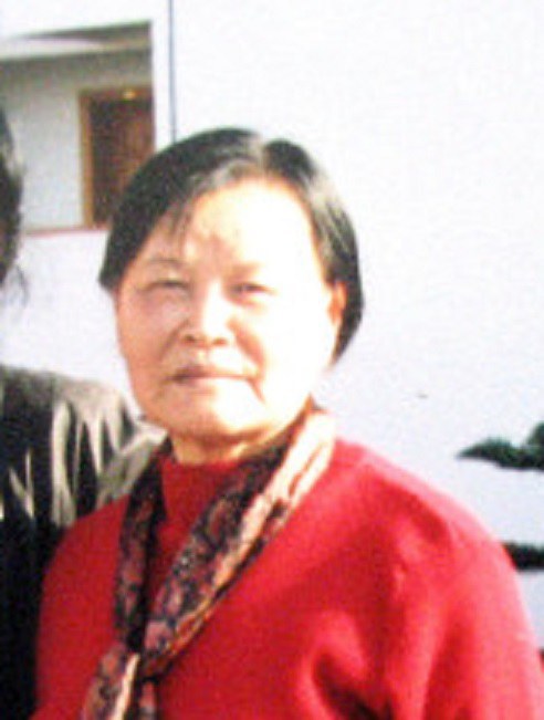 Cheng Zhi