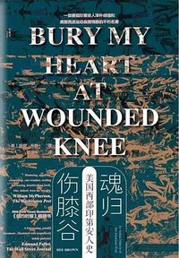 魂归伤膝谷 (社会科学文献出版社 2023)