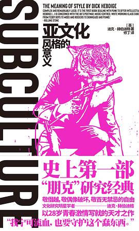 亚文化:风格的意义 (中文版)SUBCULTURE