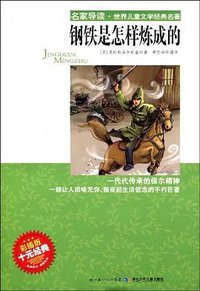 钢铁是怎样练成的 (2009)