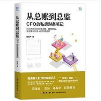 从总账到总监：CFO 的私房财务笔记 (中国轻工业出版社 2019)