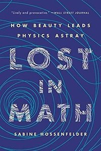 Lost in Math (Basic Books)