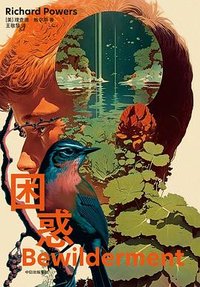 困惑 (中信出版社 2023)