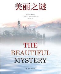 美丽之谜 (译林出版社 2018)