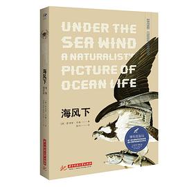 海风下（博物图鉴）