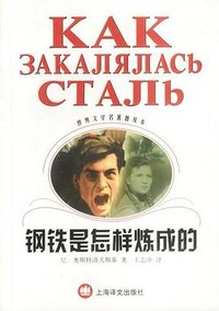 钢铁是怎样炼成的 (上海译文出版社 2001)
