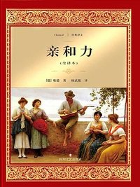 亲和力 (四川文艺出版社 2017)