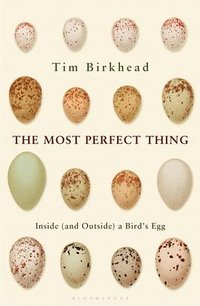 The Most Perfect Thing (Bloomsbury Publishing 2016)