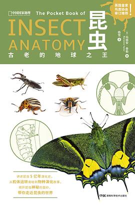 昆虫：古老的地球之王