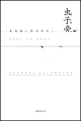 虫子旁
