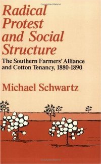 Radical Protest and Social Structure