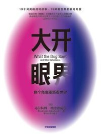 大开眼界 (中信出版集团 2020)