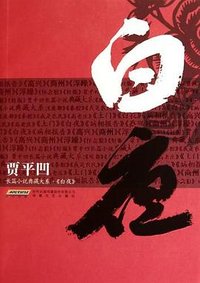白夜 (安徽文艺出版社 2010)