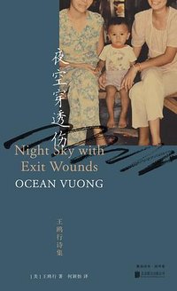 夜空穿透伤：王鸥行诗集 (北京联合出版公司 2024)
