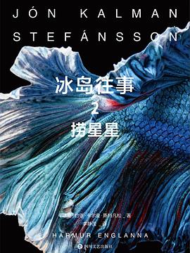 冰岛往事 2
