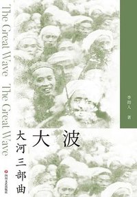 大波 (四川文艺出版社 2020)