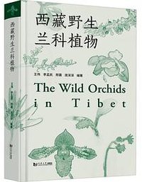 西藏野生兰科植物