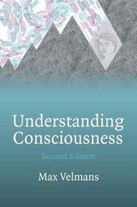 Understanding Consciousness (Routledge 2009)
