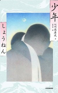 少年 (中信出版社 2025)