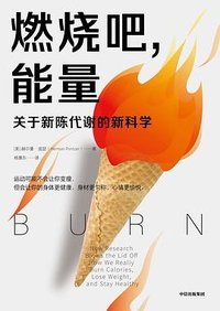 燃烧吧，能量 (中信出版社 2022)