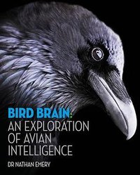 Bird Brain (Ivy Press 2016)