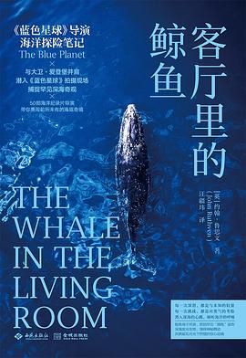 客厅里的鲸鱼