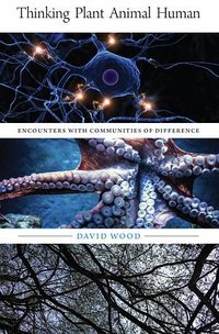 Thinking Plant Animal Human