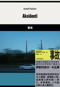 事故 (上海译文出版社 2024)