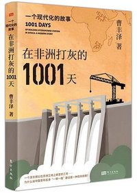 在非洲打灰的1001天：一个现代化的故事