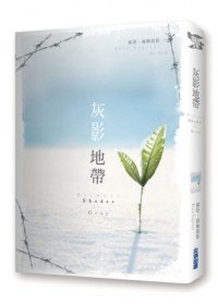 灰影地帶 (尖端 2012)