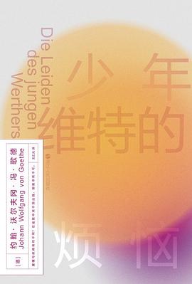 少年维特的烦恼