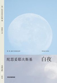 白夜 (中信出版社 2025)