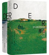 魔山 (译林出版社 2025)