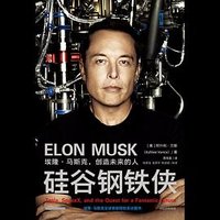 硅谷钢铁侠 (中信出版社 2022)