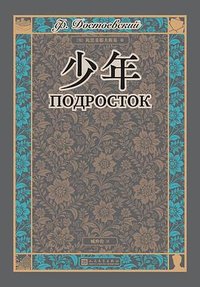 少年 (人民文学出版社 2024)