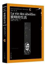 蜜蜂的生活 (漓江出版社 2025)