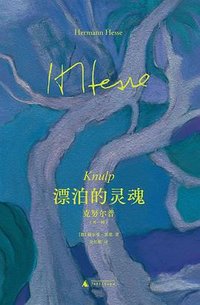 漂泊的灵魂 (广西师范大学出版社 2025)