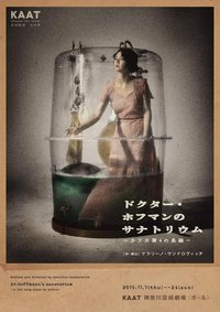 霍夫曼醫生的療養院-卡夫卡第4長篇