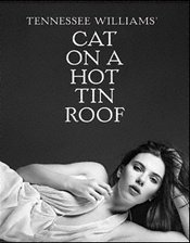 热铁皮屋顶上的猫 2008年版