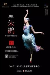 朱鹮 中国首演版